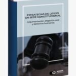 ESTRATEGIAS DE LITIGIO EN SEDE CONSTITUCIONAL