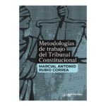 METODOLOGÍAS DE TRABAJO DEL TRIBUNAL CONSTITUCIONAL