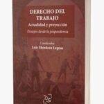 DERECHO DEL TRABAJO ACTUALIDAD Y PROYECCIÓN