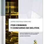 ITER CRIMINIS Y CONCURSO DE DELITO