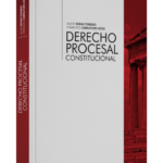 DERECHO PROCESAL CONSTITUCIONAL