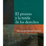 EL PROCESO Y LA TUTELA DE LOS DERECHOS