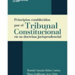 PRINCIPIOS ESTABLECIDOS POR EL TRIBUNAL CONSTITUCIONAL EN SU DOCTRINA JURISPRUDENCIAL