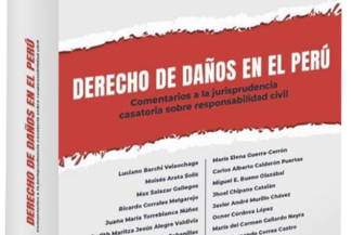 DERECHO DE DAÑOS EN EL PERÚ