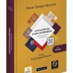 LITIGACIÓN EN ETAPA INTERMEDIA EXPLICADO EN DIAGRAMAS