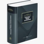 TEORÍA DEL CASO EN EL PROCESO PENAL ACUSATORIO