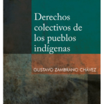 DERECHOS COLECTIVOS DE LOS PUEBLOS INDÍGENAS