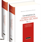 COMENTARIOS A LA CONSTITUCIÓN POLÍTICA DEL PERÚ. 2 TOMOS