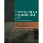 INTRODUCCIÓN A LA RESPONSABILIDAD CIVIL
