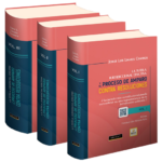 LA TUTELA JURISDICCIONAL EFECTIVA Y EL PROCESO DE AMPARO CONTRA RESOLUCIONES. 3 VOLÚMENES