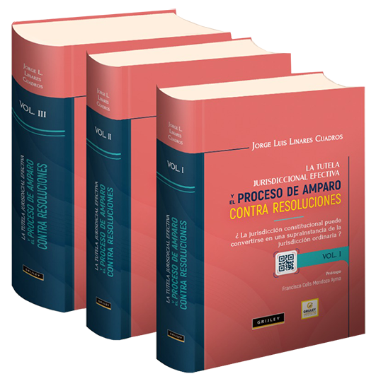 2091 LA TUTELA JURISDICCIONAL EFECTIVA Y EL PROCESO DE AMPARO CONTRA RESOLUCIONES. 3 VOLÚMENES - Imagen 1