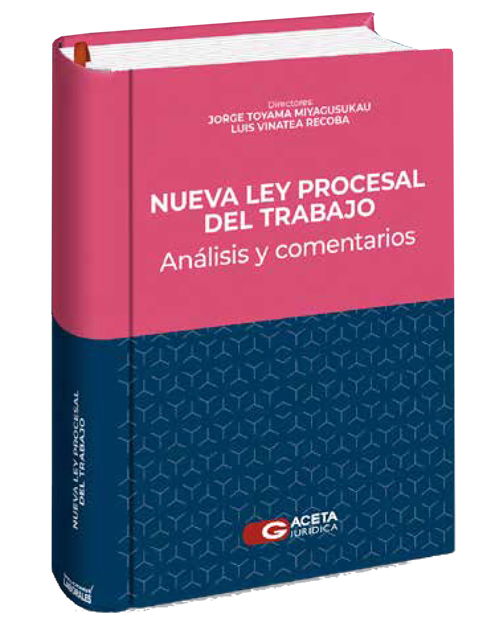 2101 NUEVA LEY PROCESAL DEL TRABAJO - Imagen 1