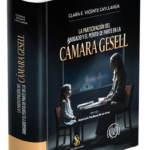 LA PARTICIPACIÓN DEL ABOGADO Y EL PERITO DE PARTE EN LA CÁMARA GESELL