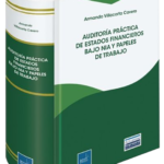 AUDITORÍA PRÁCTICA DE ESTADOS FINANCIEROS BAJO NIA Y PAPELES DE TRABAJO