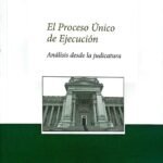 EL PROCESO UNICO DE EJECUCION