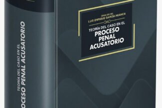 TEORÍA DEL CASO EN EL PROCESO PENAL ACUSATORIO