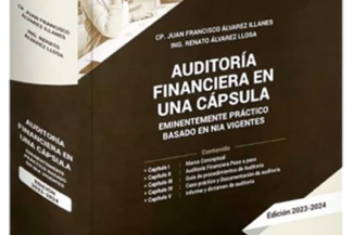 AUDITORÍA FINANCIERA EN UNA CÁPSULA