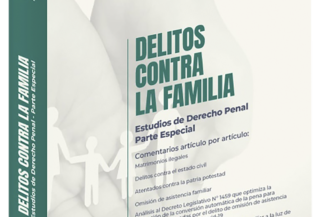 DELITOS CONTRA LA FAMILIA