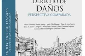 DERECHO DE DAÑOS