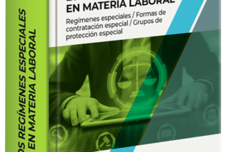 LOS REGÍMENES ESPECIALES EN MATERIA LABORAL