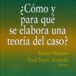 ¿CÓMO Y PARA QUÉ SE ELABORA UNA TEORÍA DEL CASO?