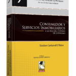 Consumidor y servicio inmobiliarios a la luz del código de consumo