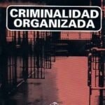 CRIMINALIDAD ORGANIZADA