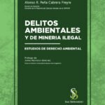 DELITOS AMBIENTALES Y DE MINERÍA ILEGAL. Estudio dederecho ambiental