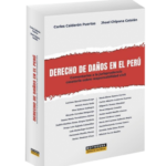 DERECHO DE DAÑOS EN EL PERÚ