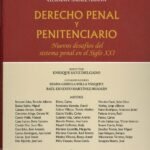 DERECHO PENAL Y PENITENCIARIO. NUEVOS DESAFÍOS DEL SISTEMA PENAL EN EL SIGLO XXI
