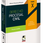 DERECHO PROCESAL CIVIL. Tomo X. Proceso cautelar