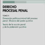 DERECHO PROCESAL PENAL. Tomo II. Dimensión político-criminal del proceso penal Eficacia del poder punitivo