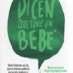 DICEN QUE TUVE UN BEBÉ. siete historias en las que el sistema judicial encarcela mujeres y a casi nadie le importa