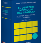 EL DERECHO INDIVIDUAL DEL TRABAJO. Un enfoque teórico-práctico