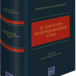 EL JUICIO DE RESPONSABILIDAD CIVIL