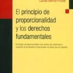 EL PRINCIPIO DE PROPORCIONALIDAD Y LOS DERECHOS FUNDAMENTALES