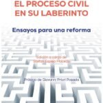 EL PROCESO CIVIL EN SU LABERINTO