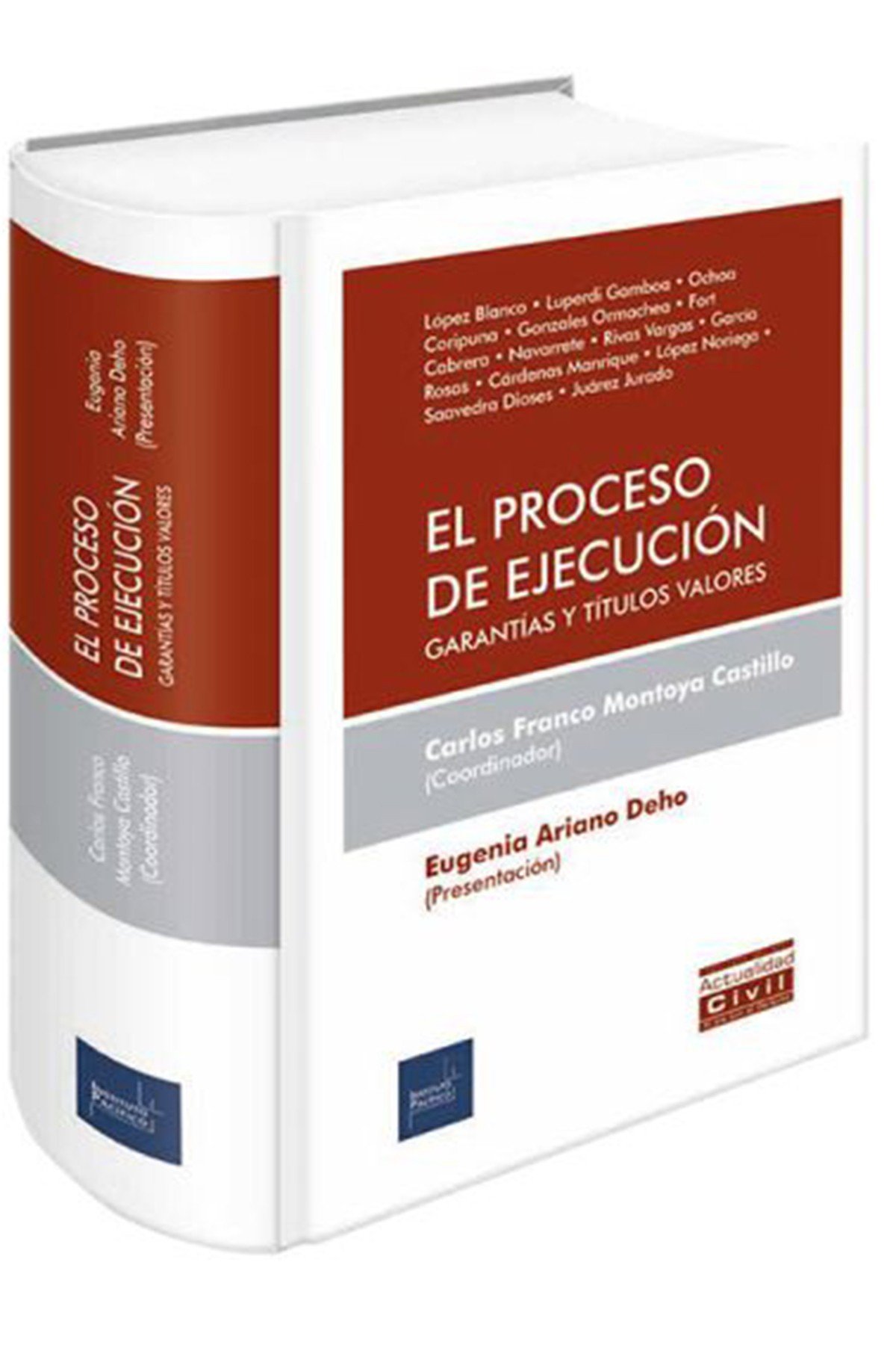 el-proceso-de-ejecucion-garantias-y-titulos-valores EL PROCESO DE EJECUCIÓN. Garantías Y Títulos Valores - Imagen 1