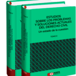 ESTUDIOS SOBRE LOS PROBLEMAS Y SOLUCIONES ACTUALES DEL DERECHO CIVIL. Un Estado de la Cuestión. 2 Tomos