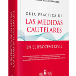 GUÍA PRÁCTICA DE LAS MEDIDAS CAUTELARES EN EL PROCESO CIVIL