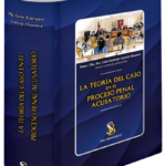 LA TEORÍA DEL CASO EN EL PROCESO PENAL ACUSATORIO