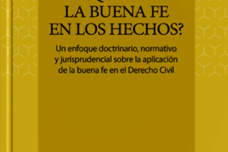 ¿QUÉ ES LA BUENA FE EN LOS HECHOS?
