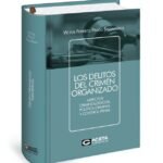 LOS DELITOS DEL CRIMEN ORGANIZADO - Aspectos criminológicos, política criminal y control penal