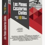 LOS PLENOS CASATORIOS CIVILES. Análisis a los 10 plenos vinculantes