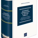 REGÍMENES LABORALES EN EL SECTOR PÚBLICO. Enfoque en el sistema administrativo de gestión de recursos humanos