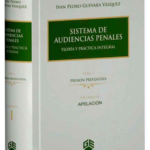 SISTEMA DE AUDIENCIAS PENALES. Serie I. Vol. II.Teoría y Práctica Integral