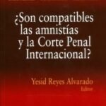 ¿SON COMPATIBLES LAS AMNISTIAS Y LA CORTE PENAL INTERNACIONAL?