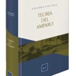 TEORÍA DEL AMPARO