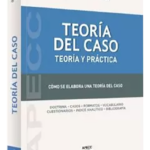TEORÍA DEL CASO. Teoría y práctica