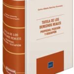 TUTELA DE LOS DERECHOS REALES.